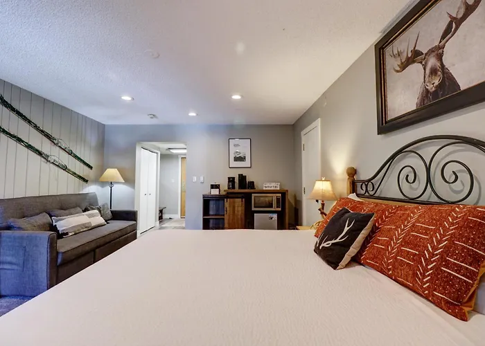 Cm325 Copper Mtn - Pet Friendly