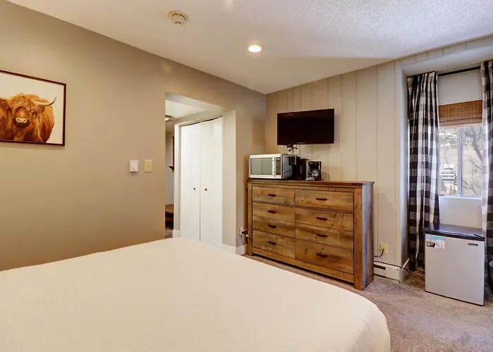 Cm325 Copper Mtn - Pet Friendly Apartment Copper Mountain